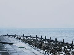 -烟台山景区