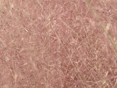 -映月湖中央公园
