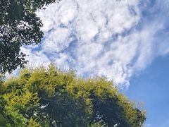-西湖文化广场