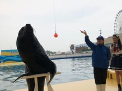 -秦皇岛乐岛海洋王国