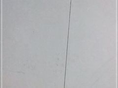-孙奶奶葱包桧