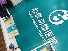 -心仪动物医院·牙专科·肿瘤·心脏科(西客站院)