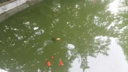 -莲生母婴月子中心(清水河公园店)