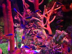 -沈阳海洋探索中心