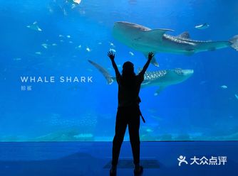 一直很喜欢珠海长隆 够大 鱼类也够多 可以在大鱼缸前