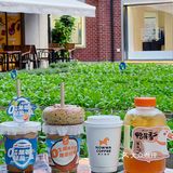 NOWWA咖啡秋季上新🍂0糖拿铁系列太🉑减脂期也能放心喝～