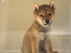 -乐宠宠物店(世纪金源店)