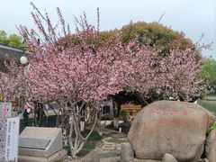 -山塘街