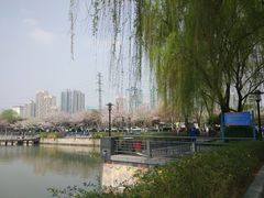 -西北湖绿化广场