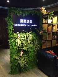 -藤野造型