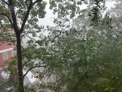 -太平山顶