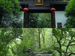 -虎跑公园