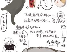 -Catmate·猫肥家润(金润铂宫店)