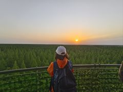 -黄海国家森林公园