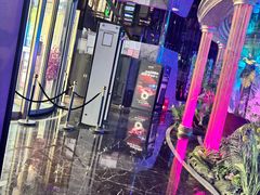 -温莎KTV(珠江路店)