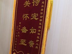 -宠爱国际动物医院· 猫科· 外科·中兽医(长白店)