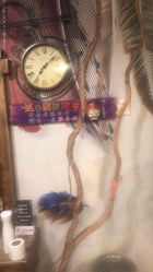 -和木形象