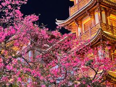 -大佛寺高级素食自助餐厅