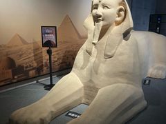 -上海博物馆(人民广场馆)