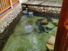 -耕渔小院·湖南鱼鲜(望城店)