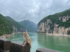 -白帝城·瞿塘峡景区
