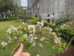-陈家祠堂-游客中心