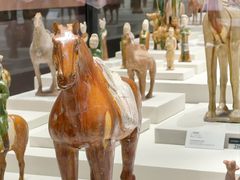 -隋唐大运河文化博物馆