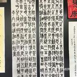 长街长，尽显国韵精粹；烟花季，领略非遗风采”