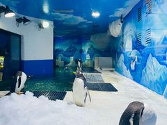 -重庆欢乐海底世界