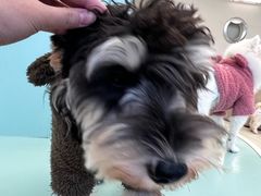 -怪兽屋·羊驼·猫咖·狗咖(俊华广场店)