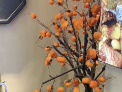 -大鱼徽州·寻味徽菜(万象汇店)