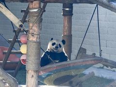 -石家庄市动物园