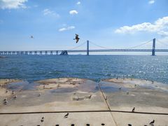 -星海湾跨海大桥