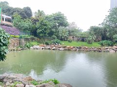 -石排湾郊野公园