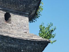 -东台西溪天仙缘景区