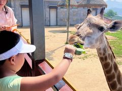 -西霞口神雕山野生动物世界