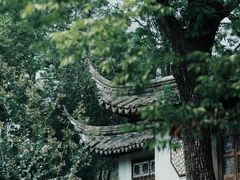 -留园