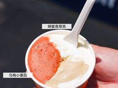 -Dip in Gelato(富民路店)