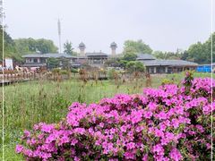-东湖磨山景区