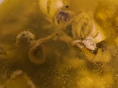 -向塘土鸡总店(八一广场店)