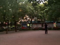 -方庄体育公园