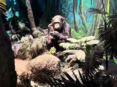 -国家自然博物馆