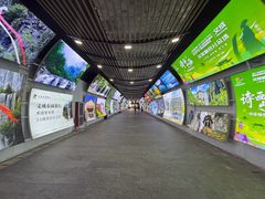 -刘伯温故里景区百丈漈