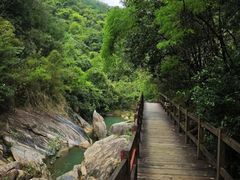 -广州白江湖森林公园