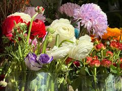 -MCJ-花店(西罗园店)