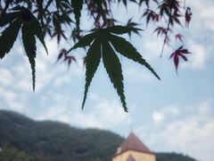 -梦娜斯庄园