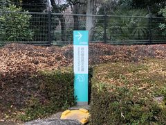 -井之头恩赐公园