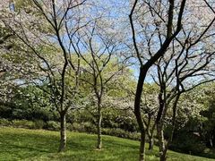 -中国茶叶博物馆(双峰馆区)