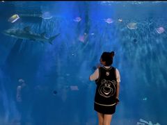 -华夏文旅海洋公园