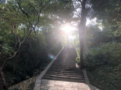 -南山风景名胜区